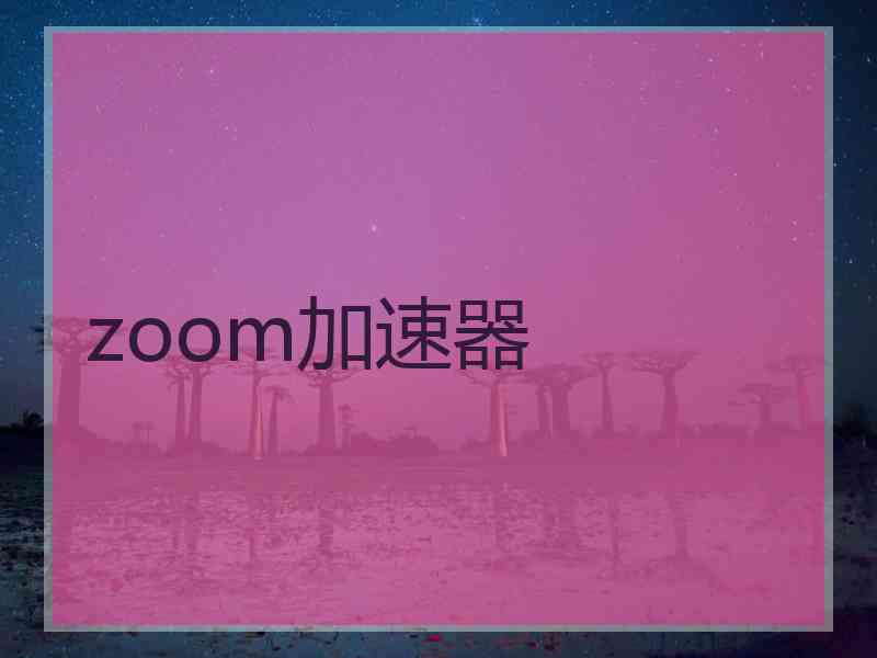 zoom加速器