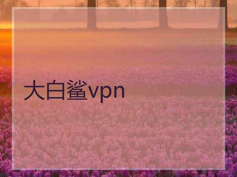 大白鲨vpn