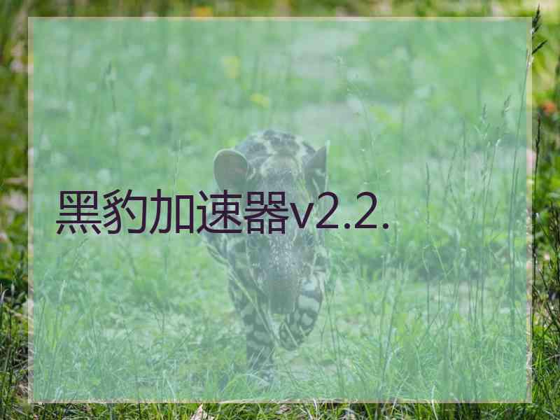 黑豹加速器v2.2.