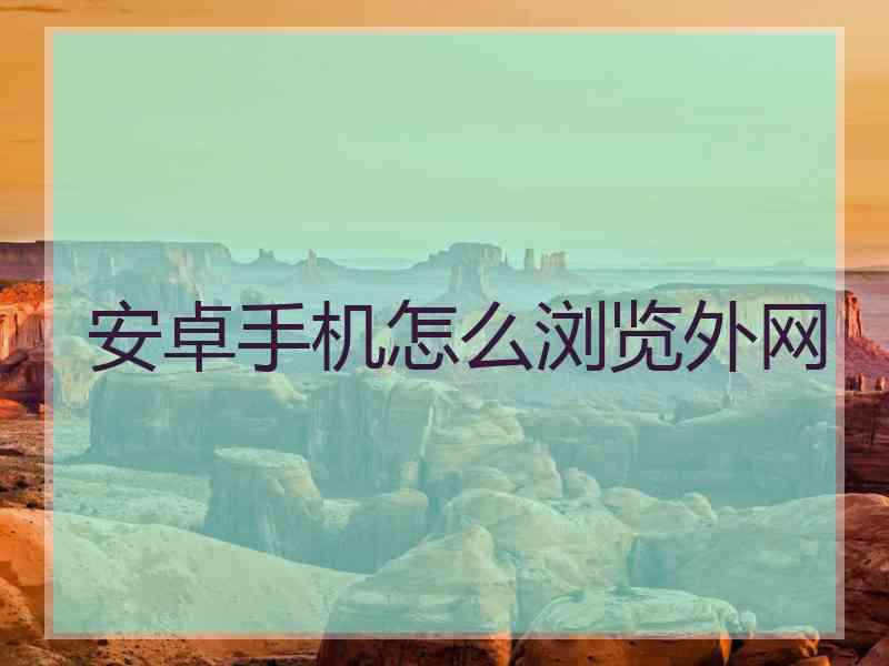 安卓手机怎么浏览外网