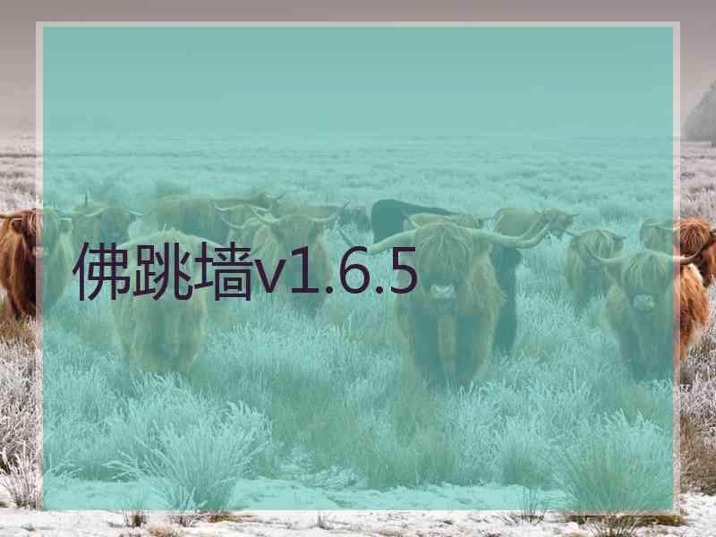 佛跳墙v1.6.5