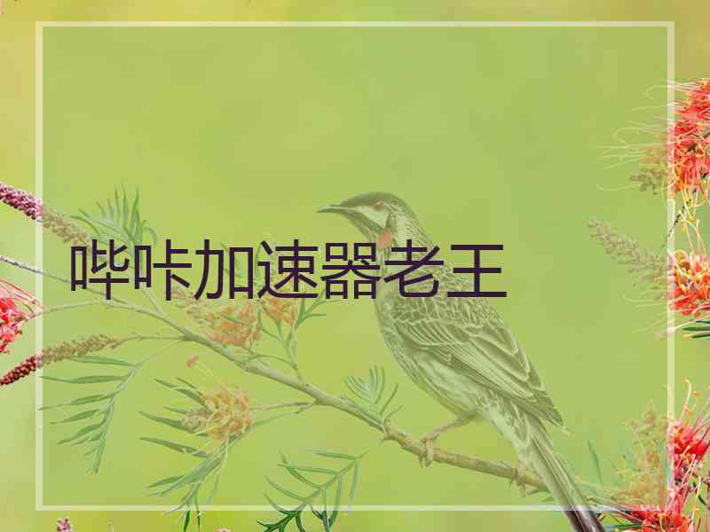 哔咔加速器老王
