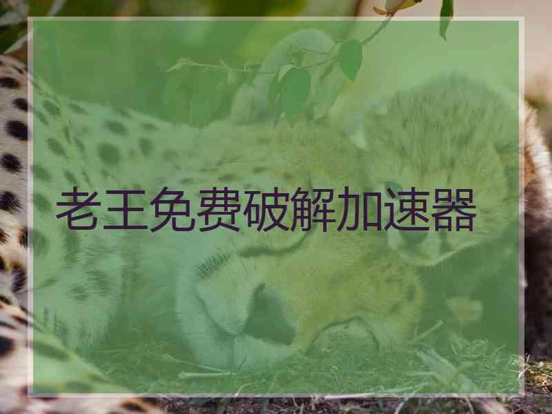 老王免费破解加速器