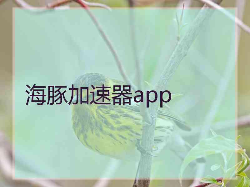 海豚加速器app