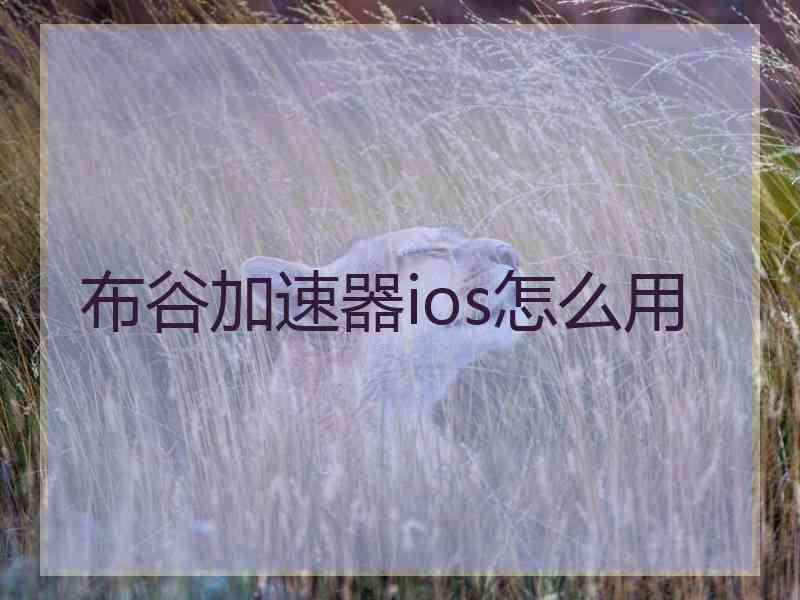 布谷加速器ios怎么用