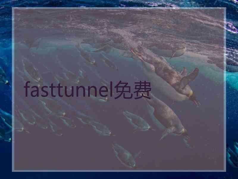fasttunnel免费