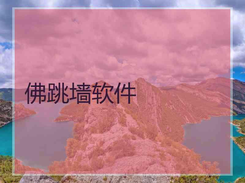 佛跳墙软件