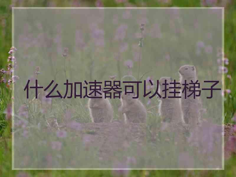 什么加速器可以挂梯子