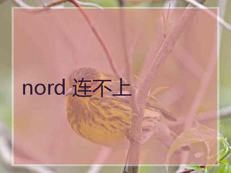 nord 连不上