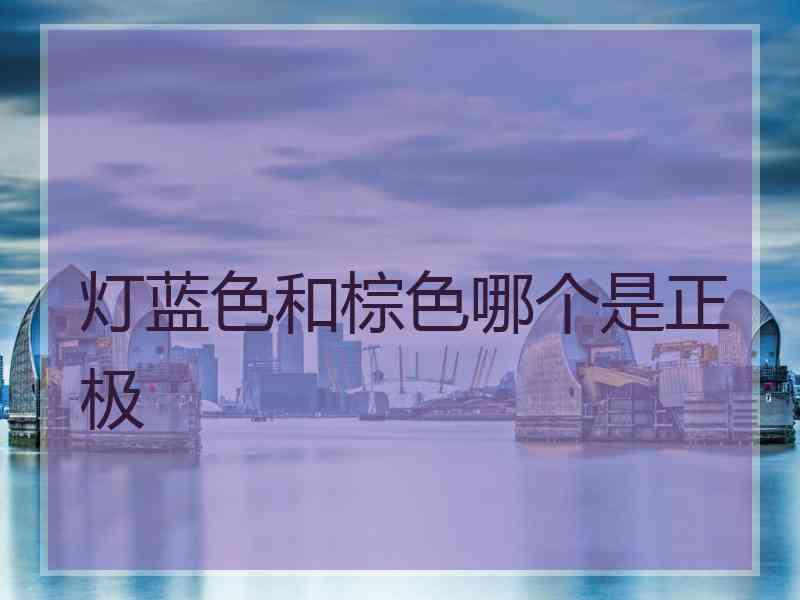 灯蓝色和棕色哪个是正极