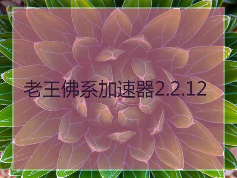 老王佛系加速器2.2.12