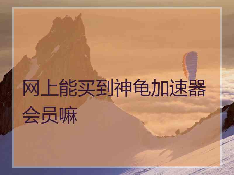 网上能买到神龟加速器会员嘛