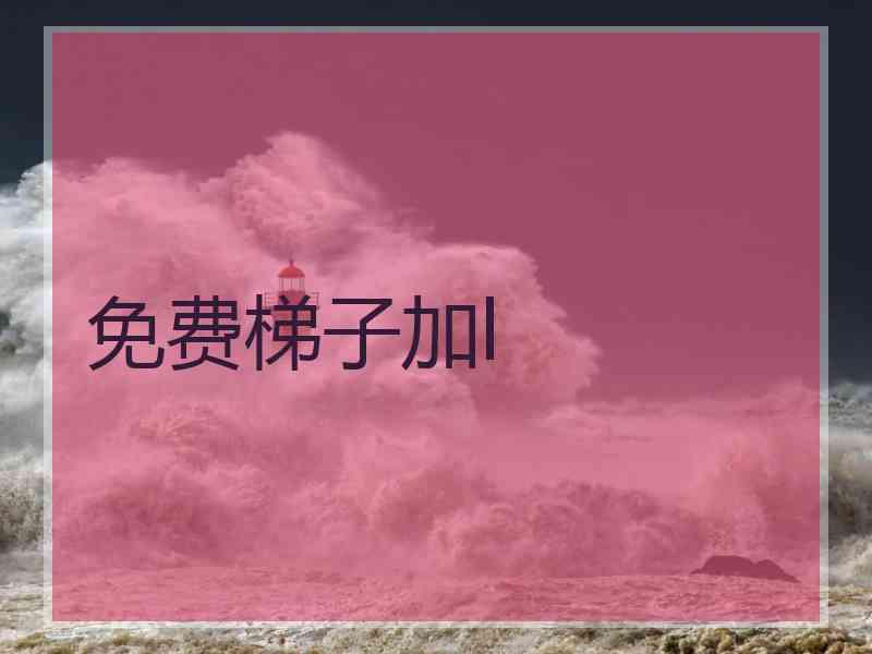 免费梯子加l