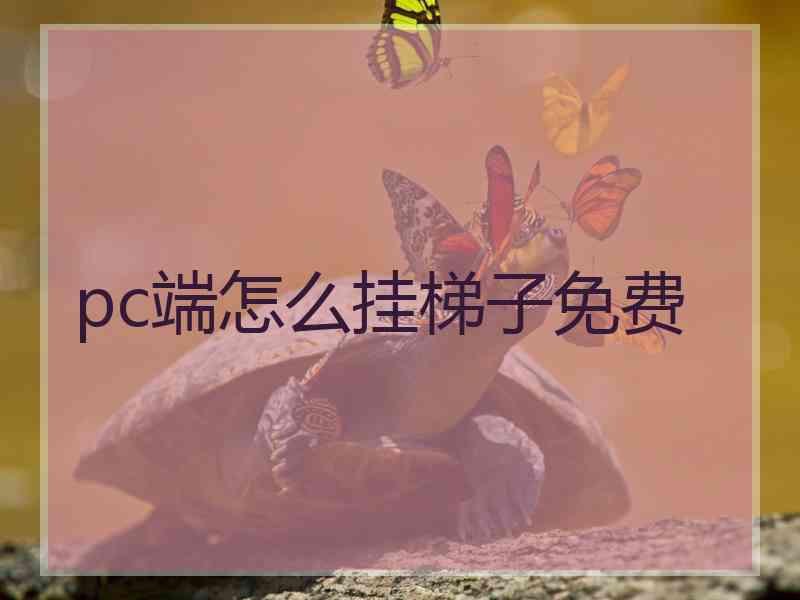 pc端怎么挂梯子免费