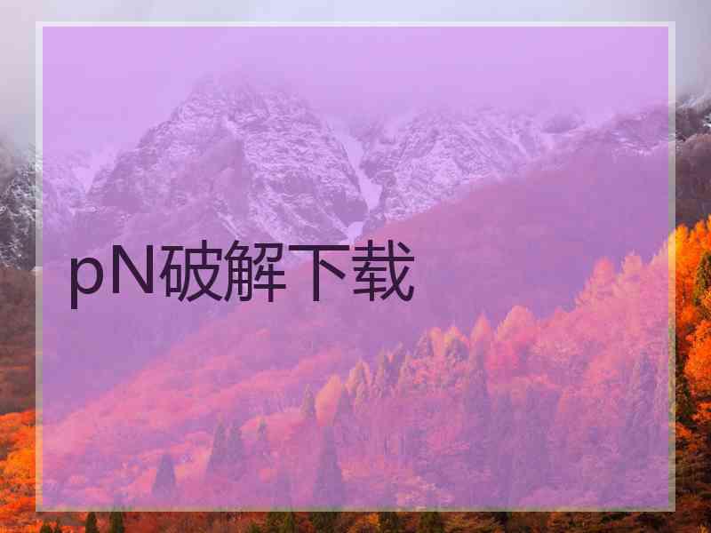 pN破解下载