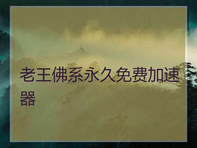 老王佛系永久免费加速器