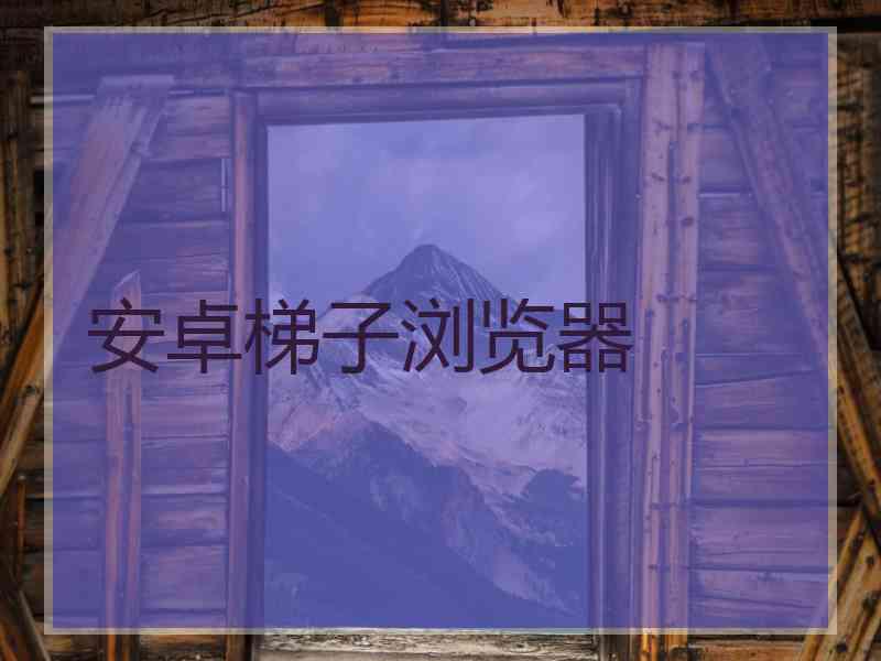 安卓梯子浏览器