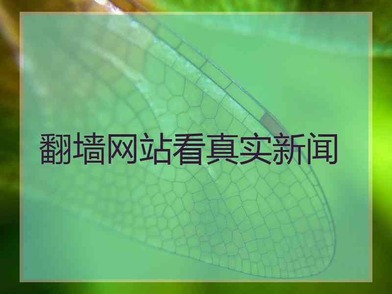 翻墙网站看真实新闻