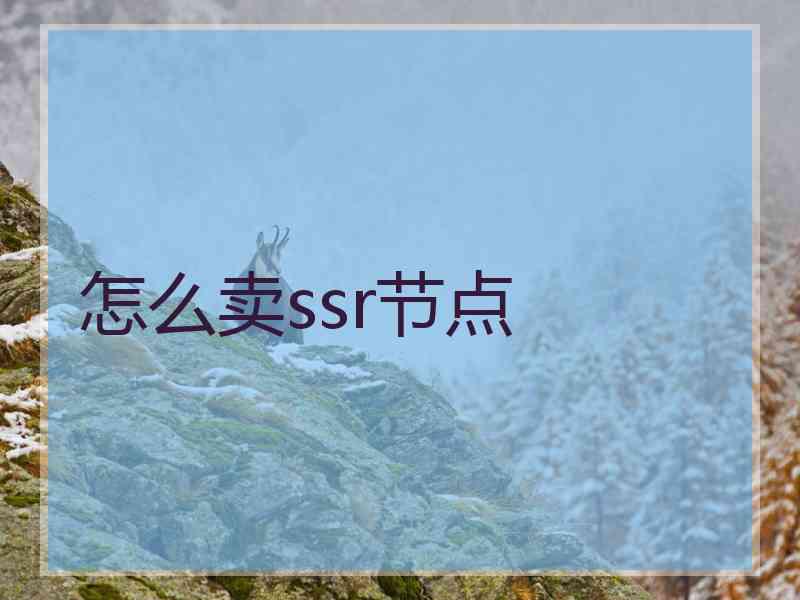 怎么卖ssr节点
