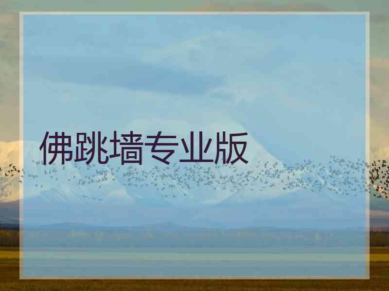佛跳墙专业版