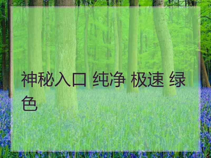 神秘入口 纯净 极速 绿色