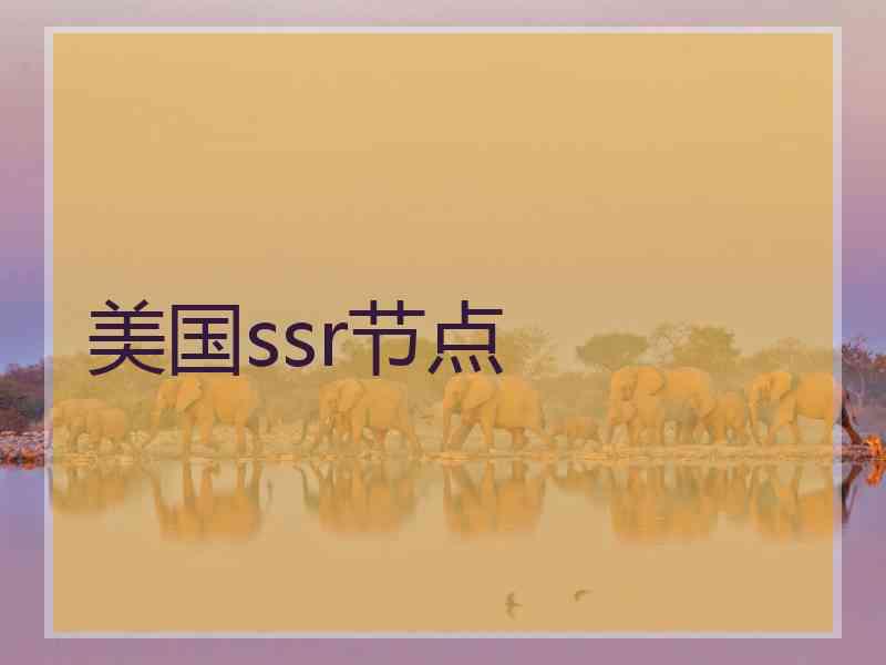 美国ssr节点
