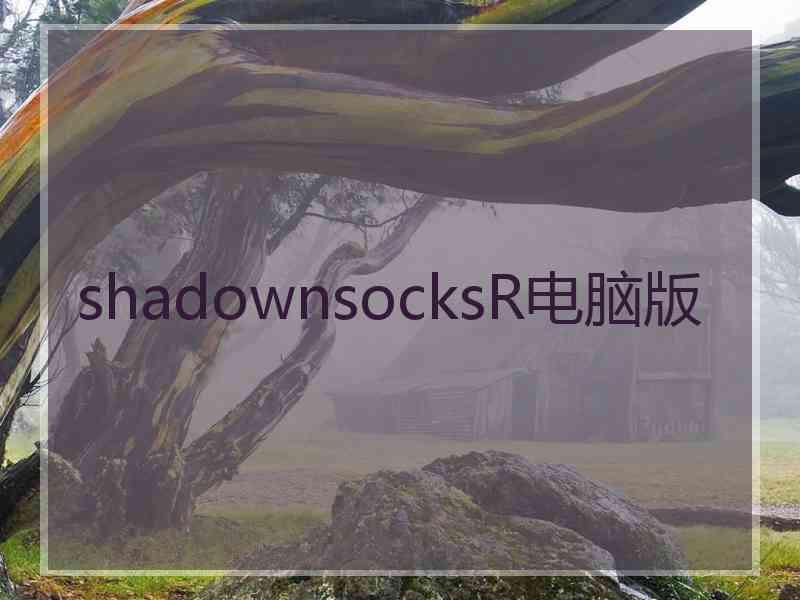 shadownsocksR电脑版
