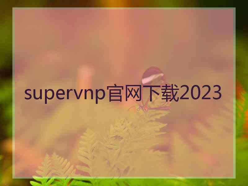 supervnp官网下载2023