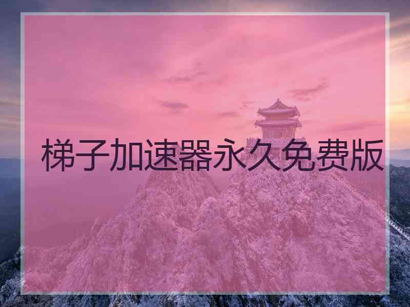 梯子加速器永久免费版