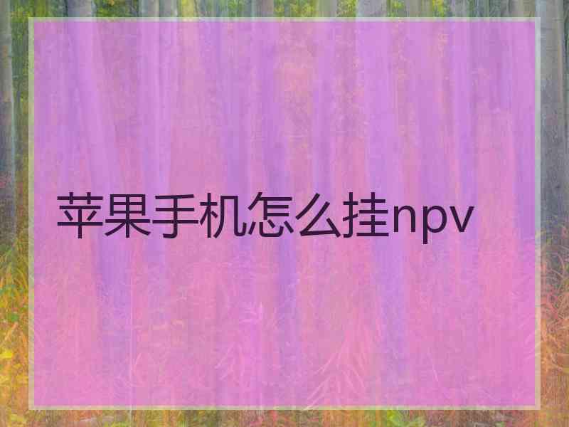 苹果手机怎么挂npv