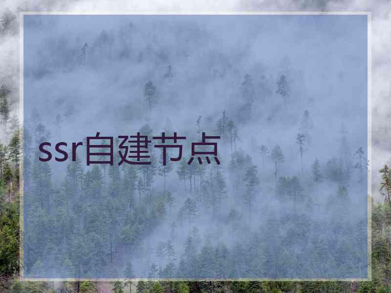 ssr自建节点