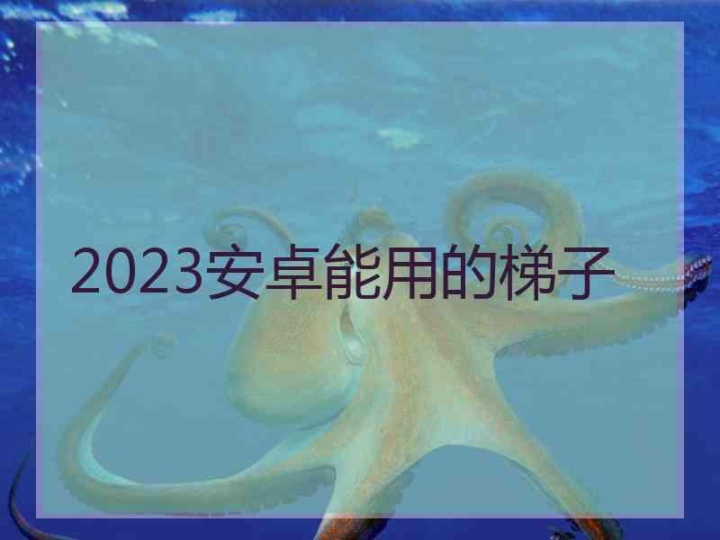 2023安卓能用的梯子