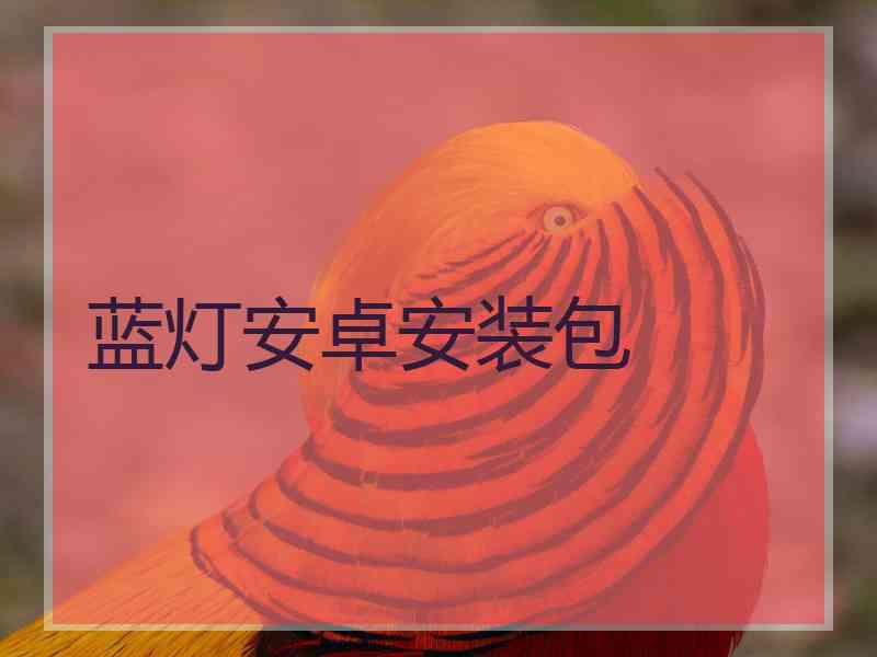蓝灯安卓安装包