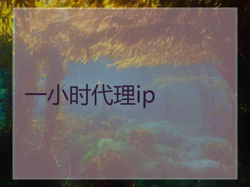 一小时代理ip