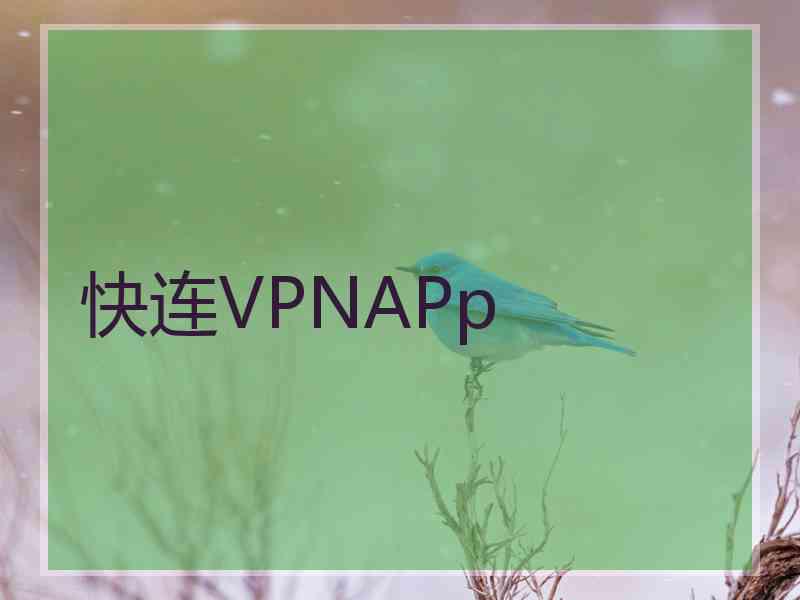 快连VPNAPp