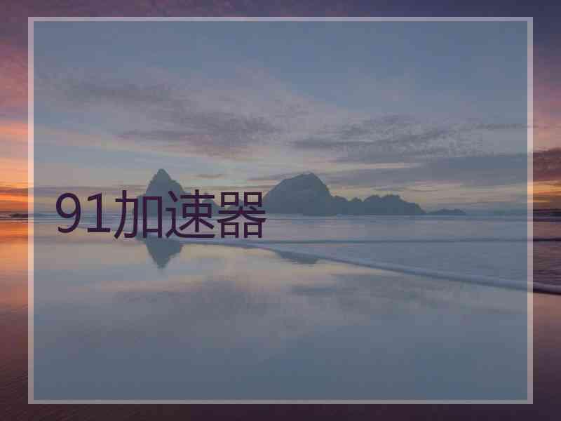 91加速器