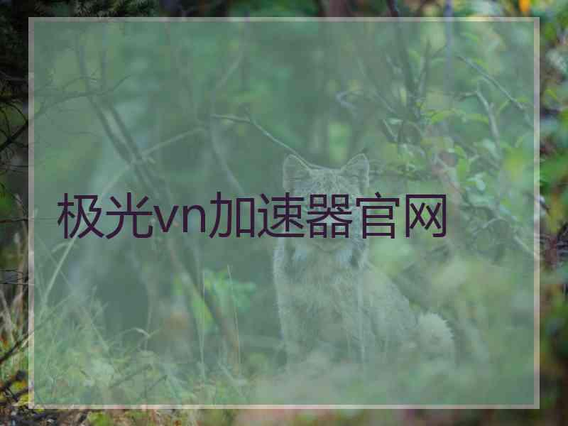 极光vn加速器官网