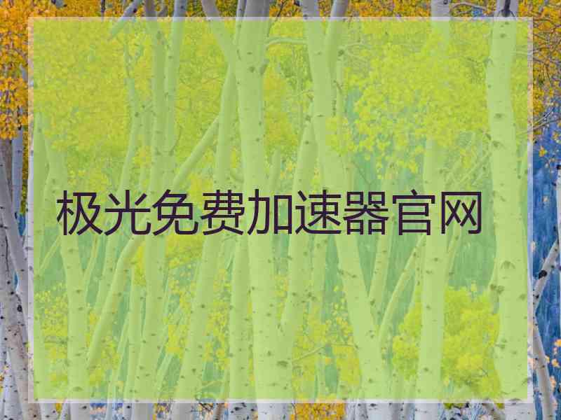 极光免费加速器官网