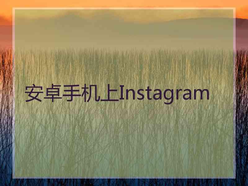 安卓手机上Instagram