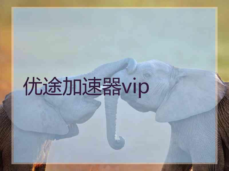 优途加速器vip