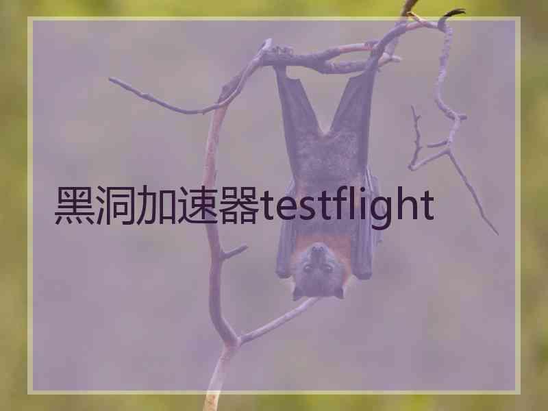 黑洞加速器testflight