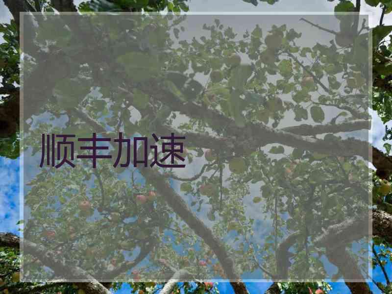 顺丰加速