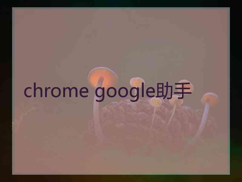 chrome google助手