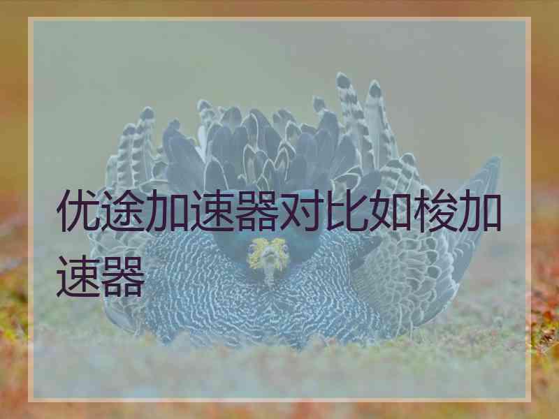 优途加速器对比如梭加速器