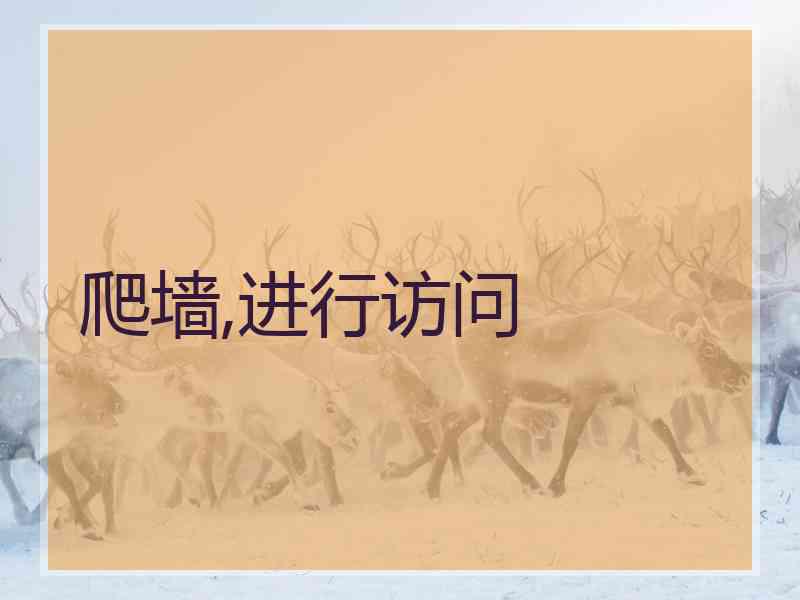 爬墙,进行访问