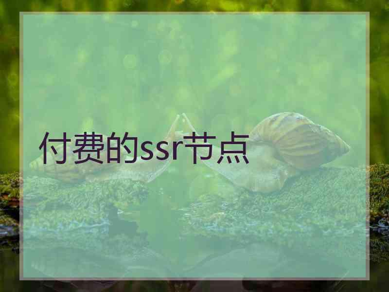 付费的ssr节点