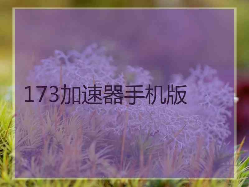 173加速器手机版