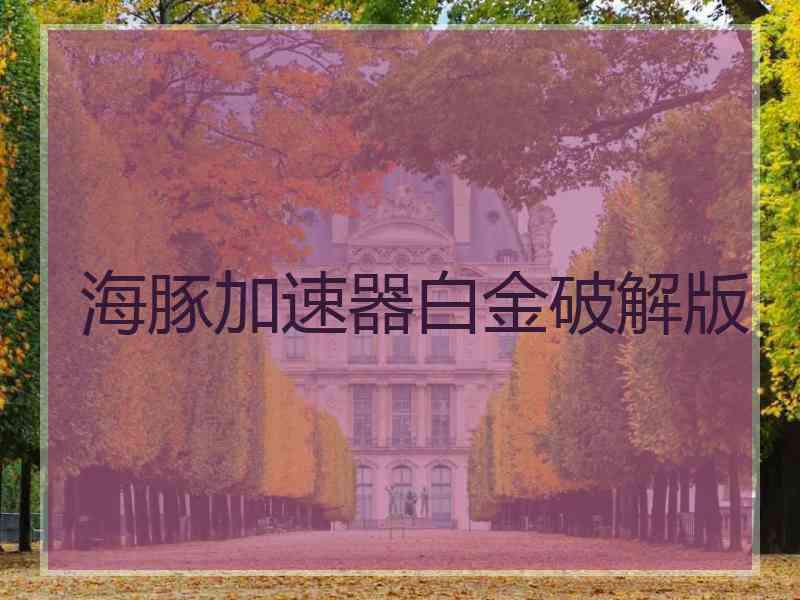 海豚加速器白金破解版
