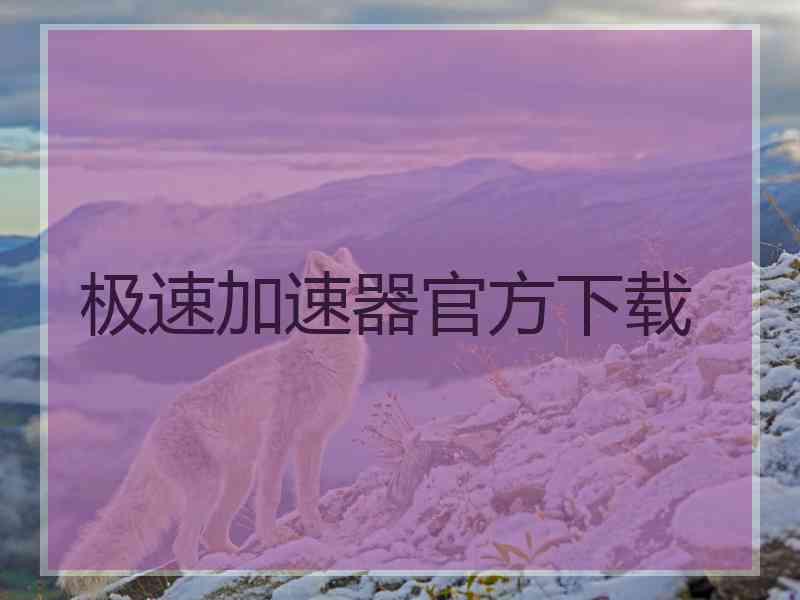 极速加速器官方下载