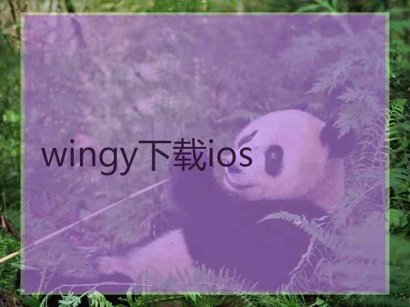 wingy下载ios
